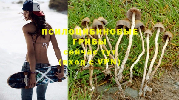 тгк Саяногорск