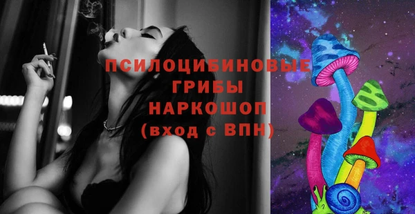 молекула духа Сатка