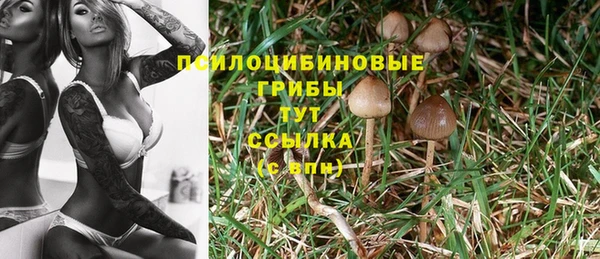 тгк Саяногорск