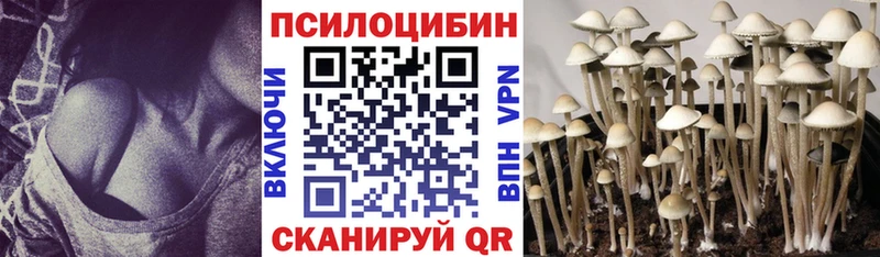 Галлюциногенные грибы Cubensis Таштагол